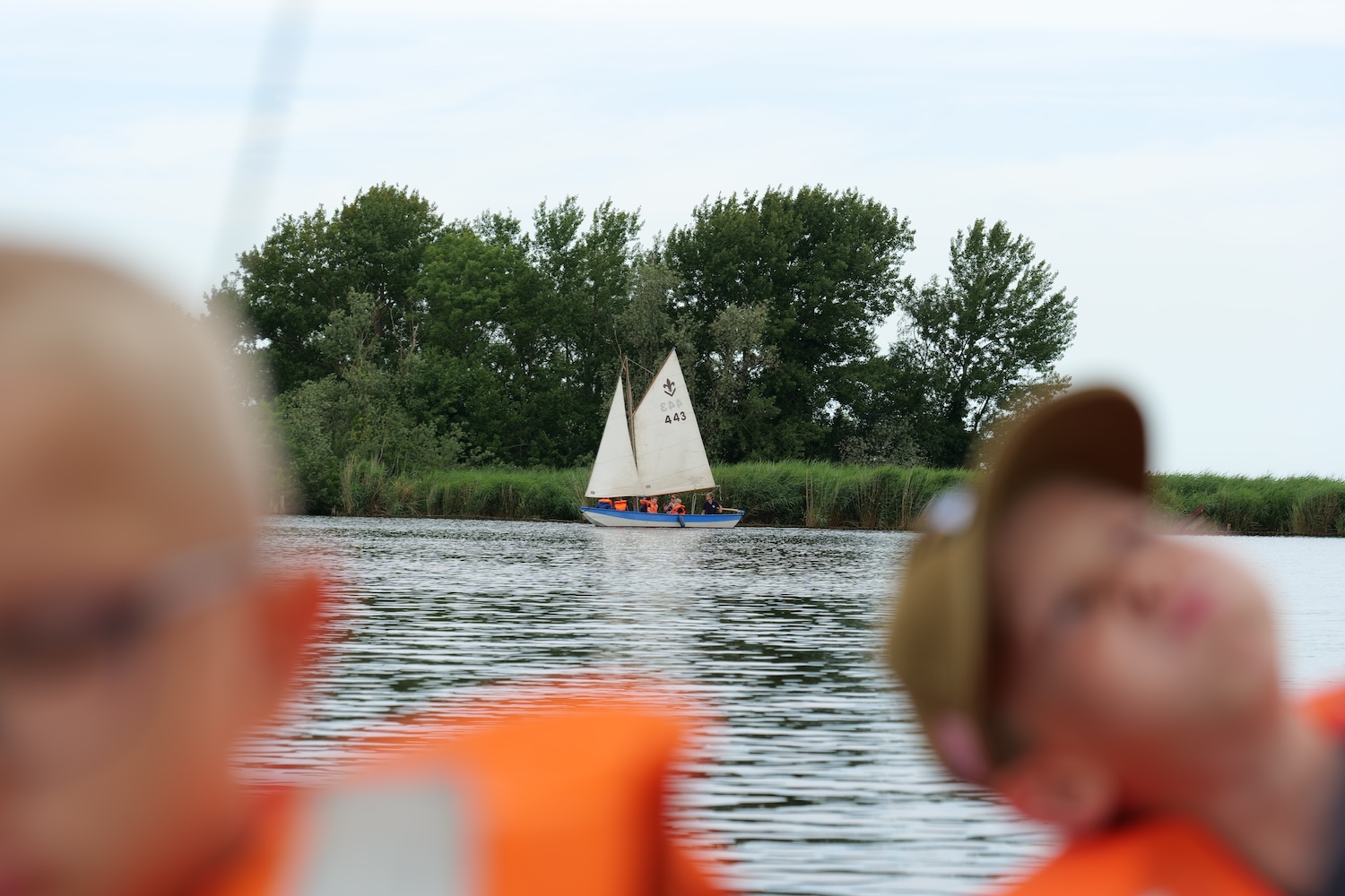 Dolfijnen zeilen met lelievlet 443 bij De Stierop